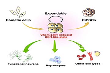 平博·(pinnacle)官方网站