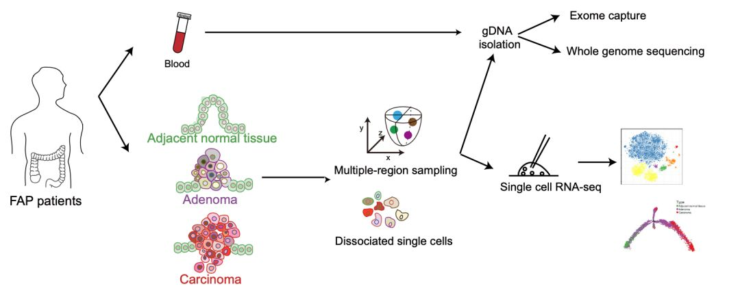平博·(pinnacle)官方网站