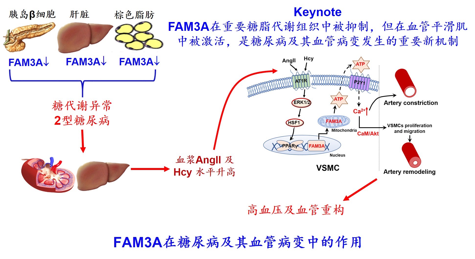 平博·(pinnacle)官方网站