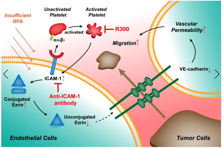 平博·(pinnacle)官方网站