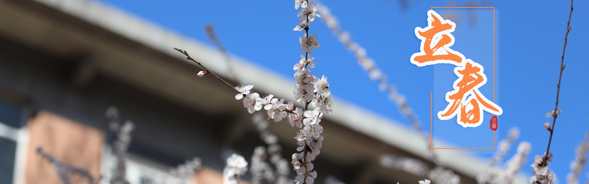 平博·(pinnacle)官方网站