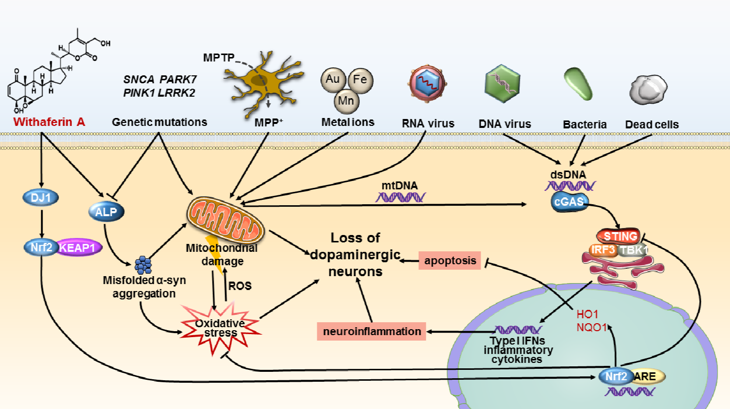 平博·(pinnacle)官方网站