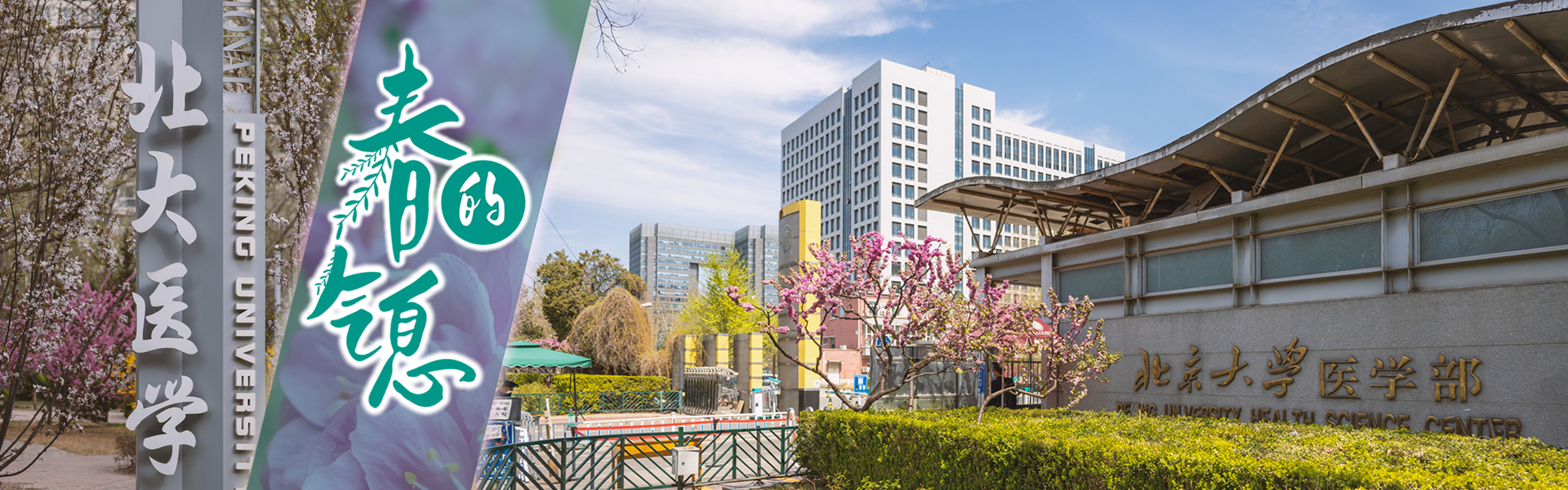 平博·(pinnacle)官方网站