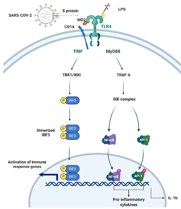 平博·(pinnacle)官方网站