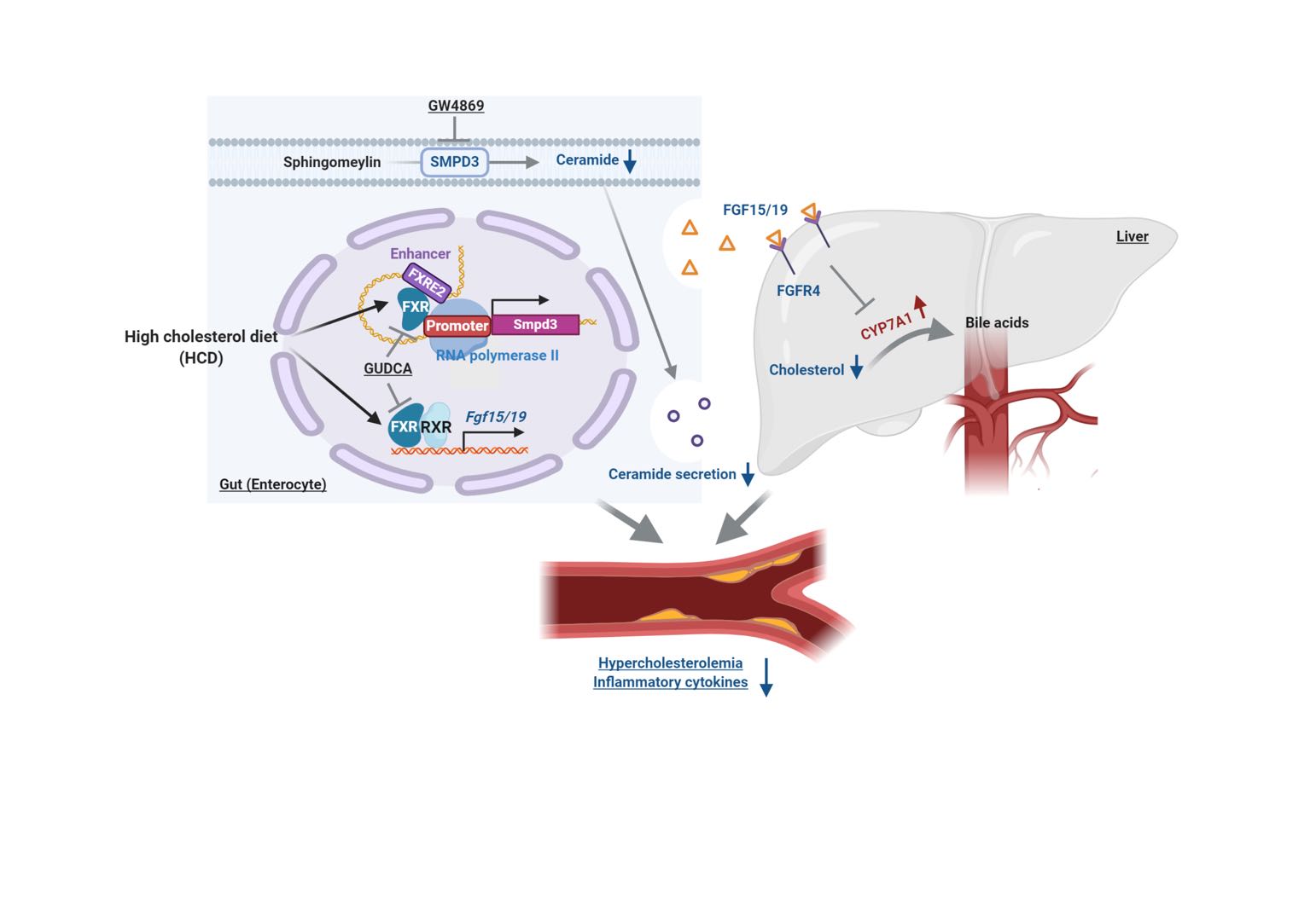 平博·(pinnacle)官方网站