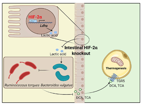 平博·(pinnacle)官方网站
