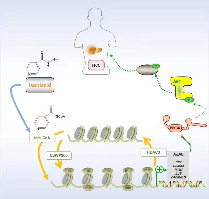 平博·(pinnacle)官方网站