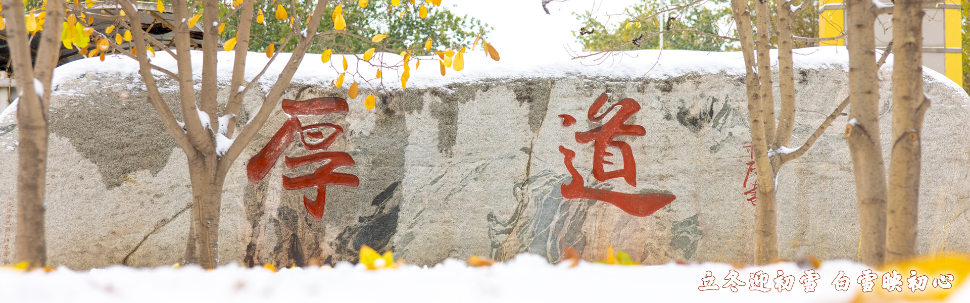 平博·(pinnacle)官方网站