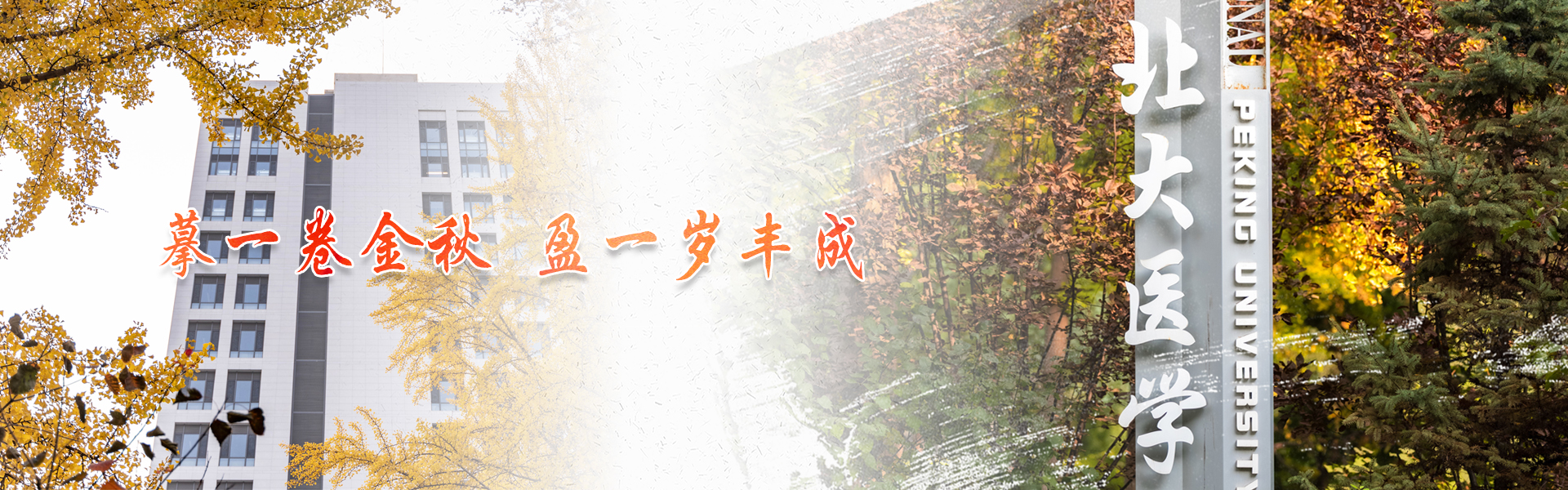 平博·(pinnacle)官方网站