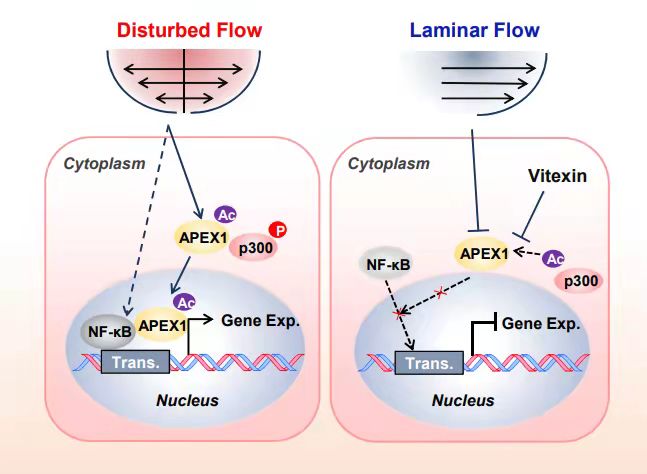 平博·(pinnacle)官方网站