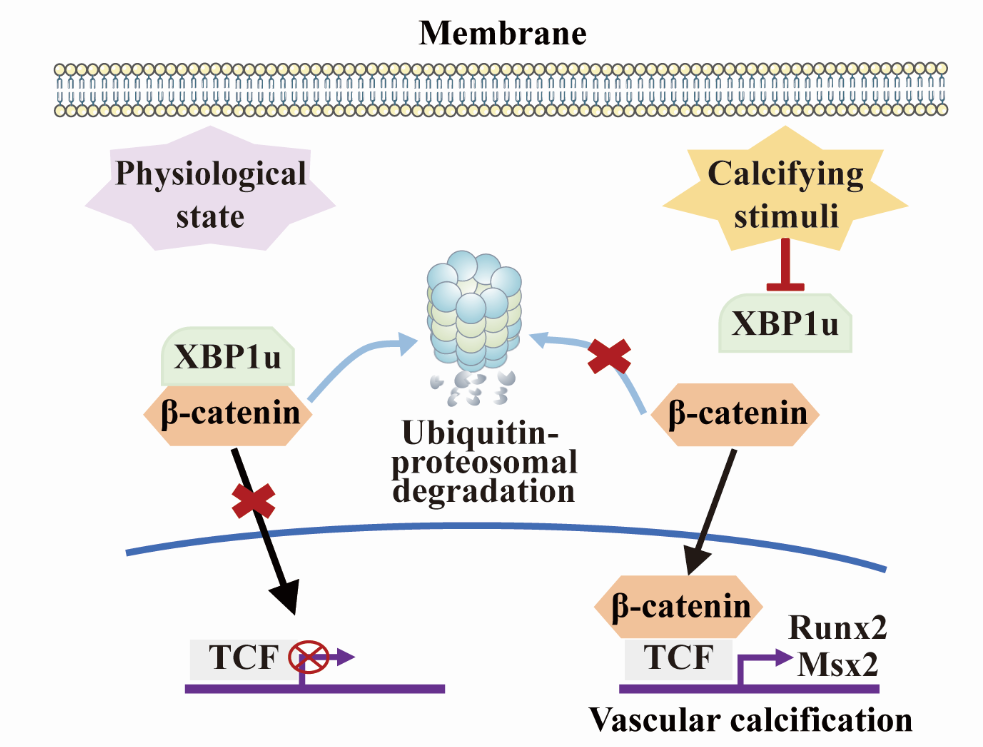 平博·(pinnacle)官方网站