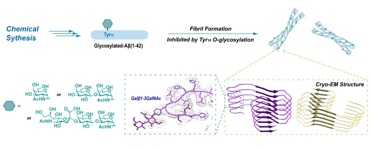 平博·(pinnacle)官方网站