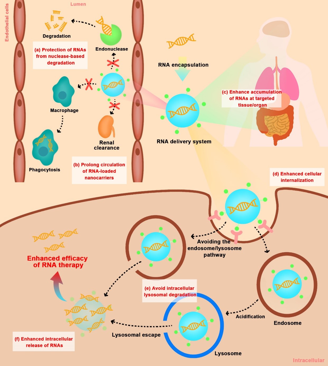 平博·(pinnacle)官方网站