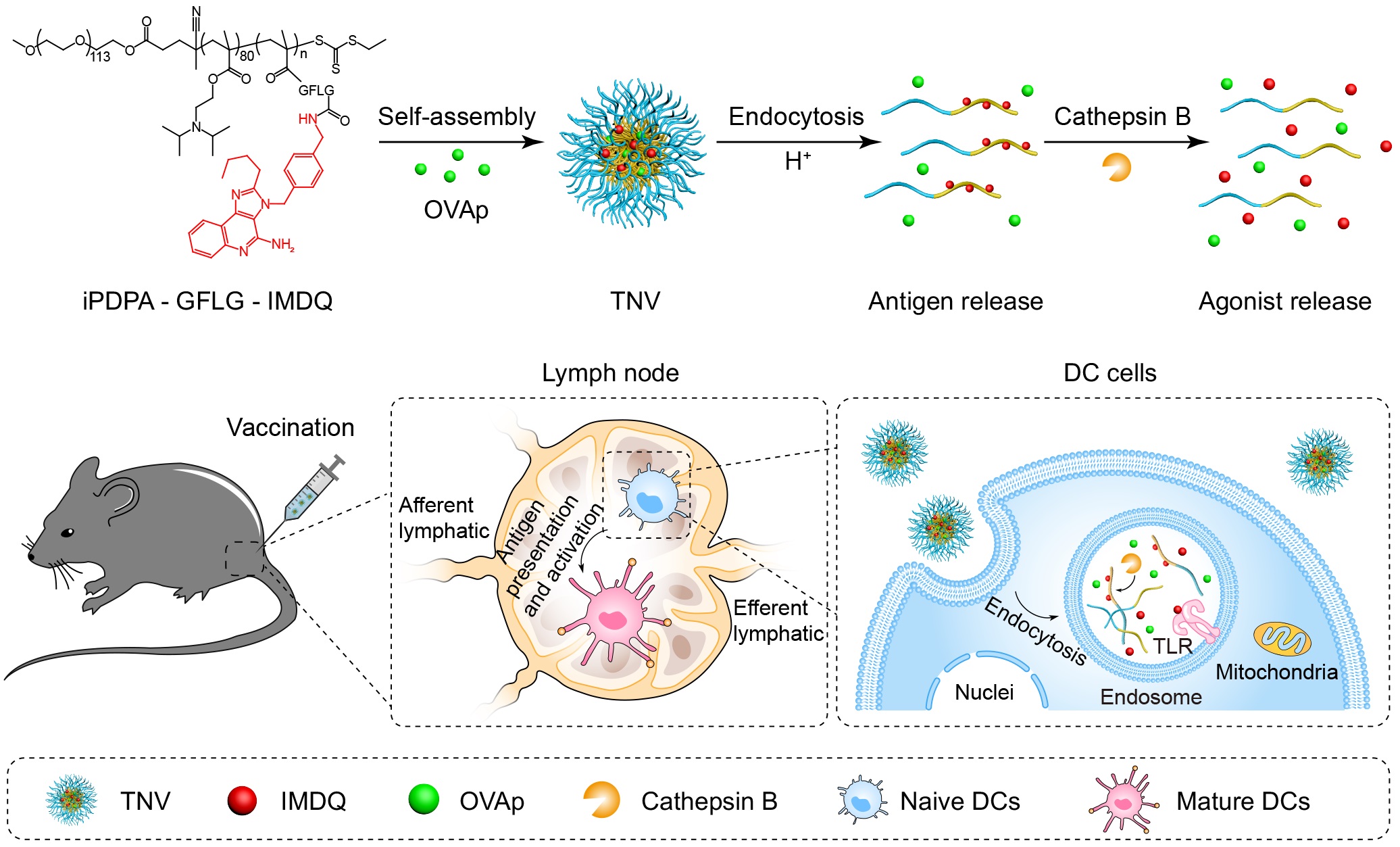 平博·(pinnacle)官方网站