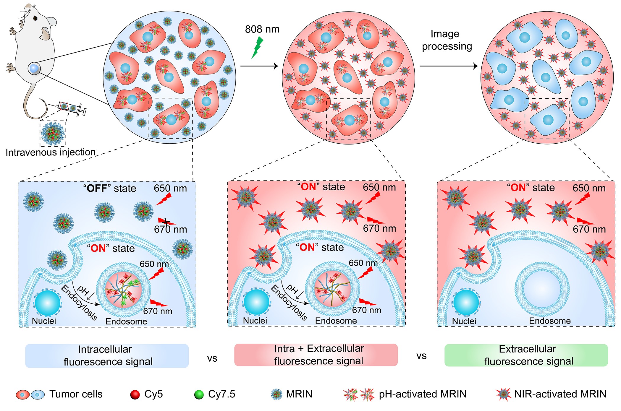 平博·(pinnacle)官方网站