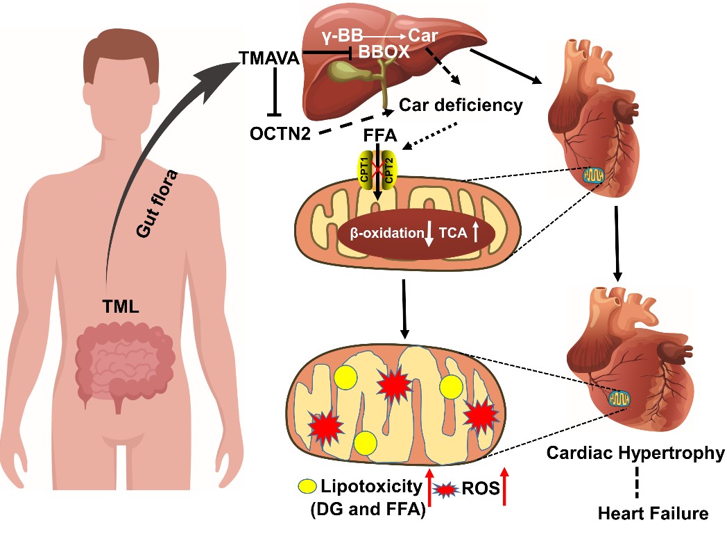 平博·(pinnacle)官方网站