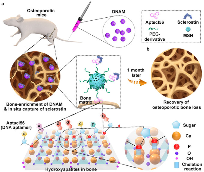 平博·(pinnacle)官方网站