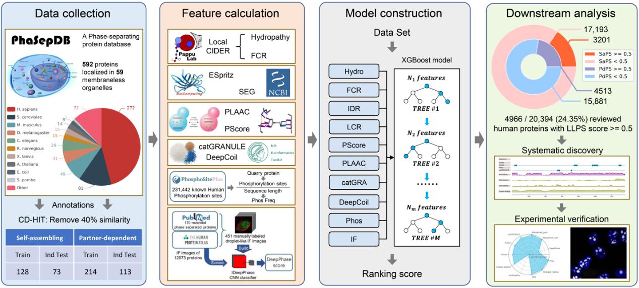 平博·(pinnacle)官方网站