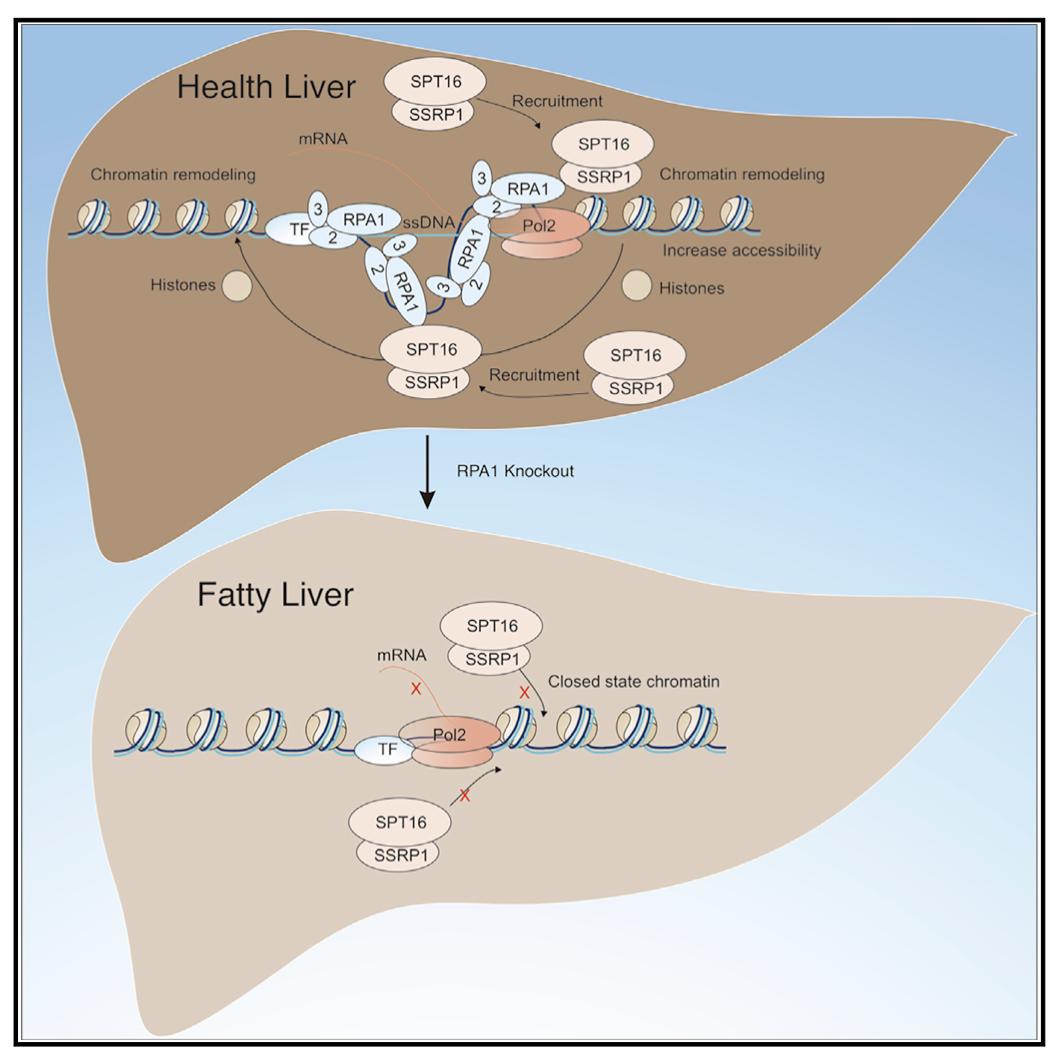 平博·(pinnacle)官方网站