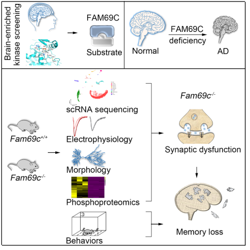 平博·(pinnacle)官方网站