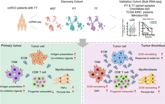 平博·(pinnacle)官方网站