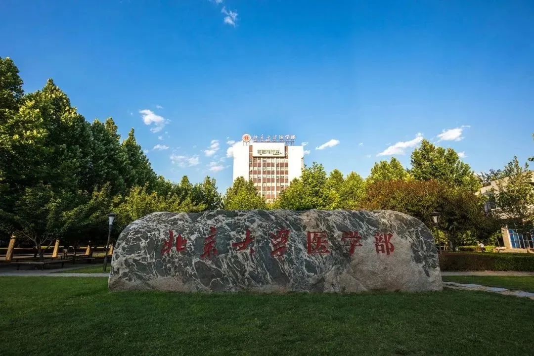 平博·(pinnacle)官方网站