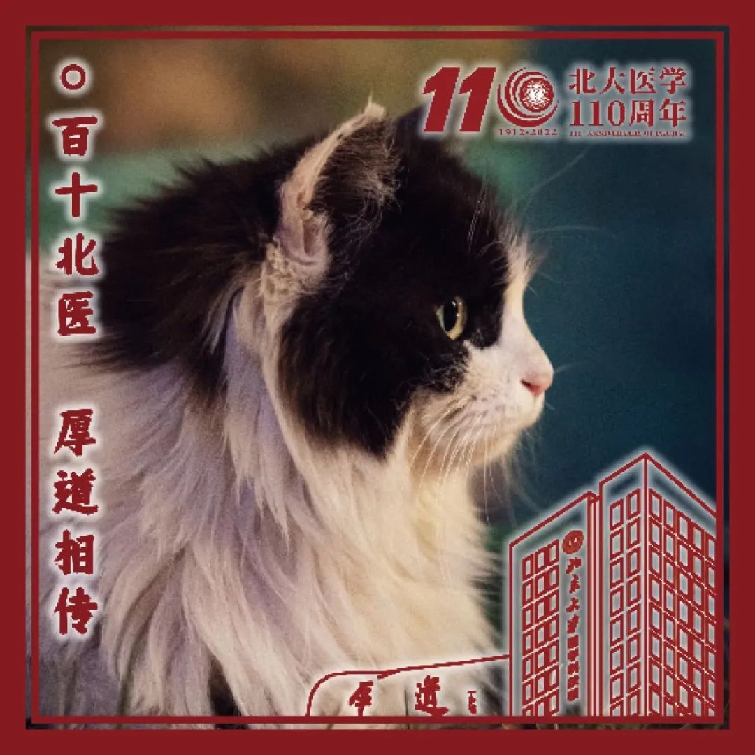 平博·(pinnacle)官方网站