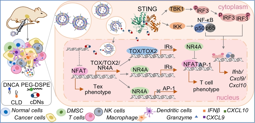 平博·(pinnacle)官方网站