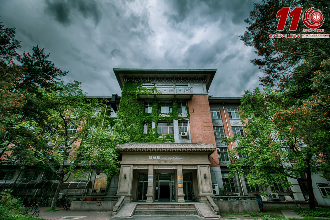 平博·(pinnacle)官方网站