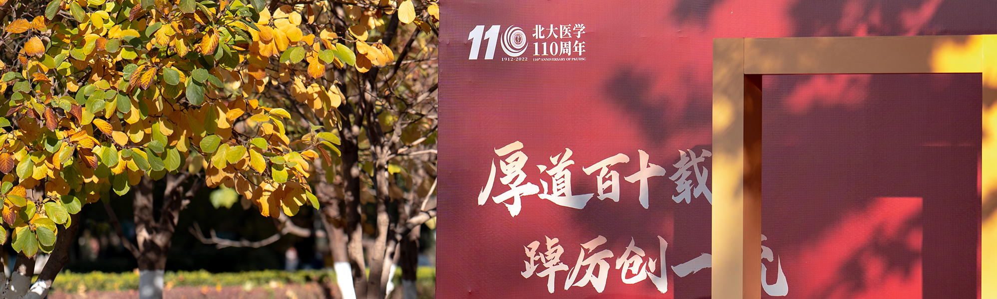 平博·(pinnacle)官方网站