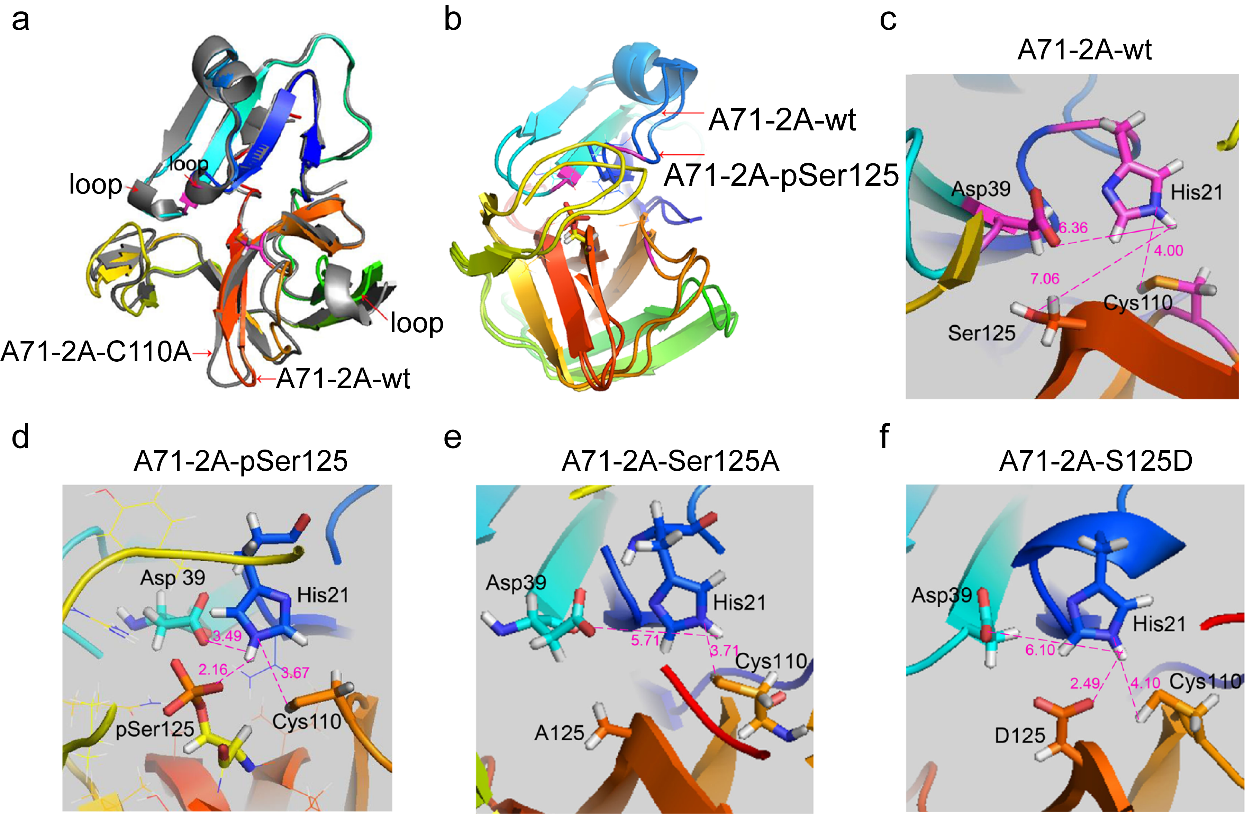 平博·(pinnacle)官方网站