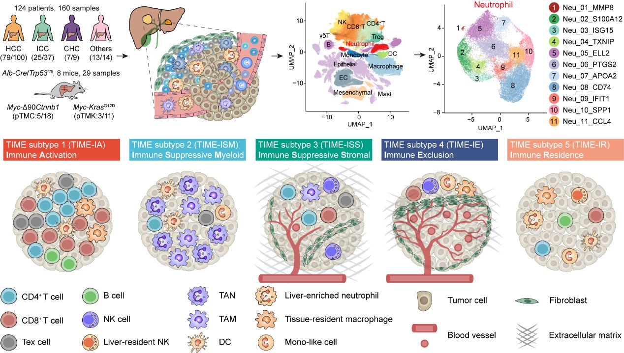 平博·(pinnacle)官方网站