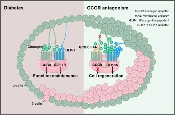 平博·(pinnacle)官方网站