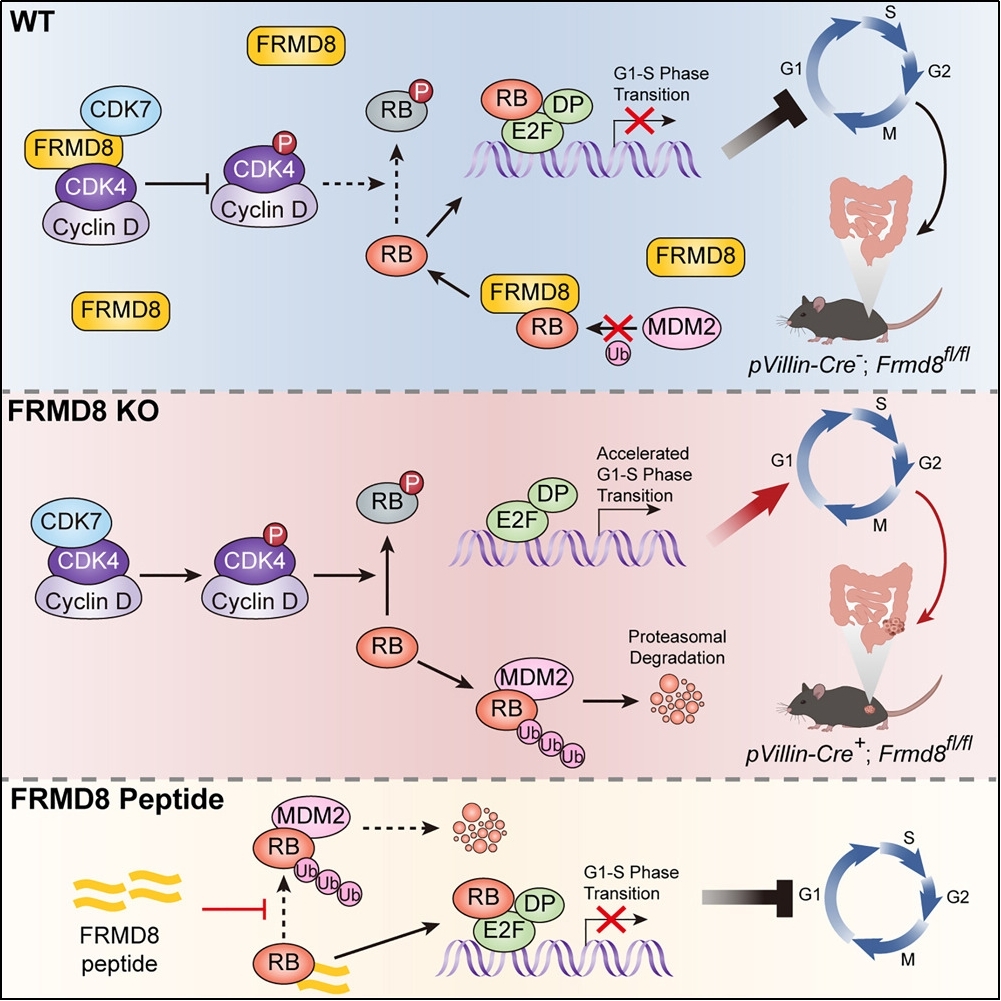 平博·(pinnacle)官方网站