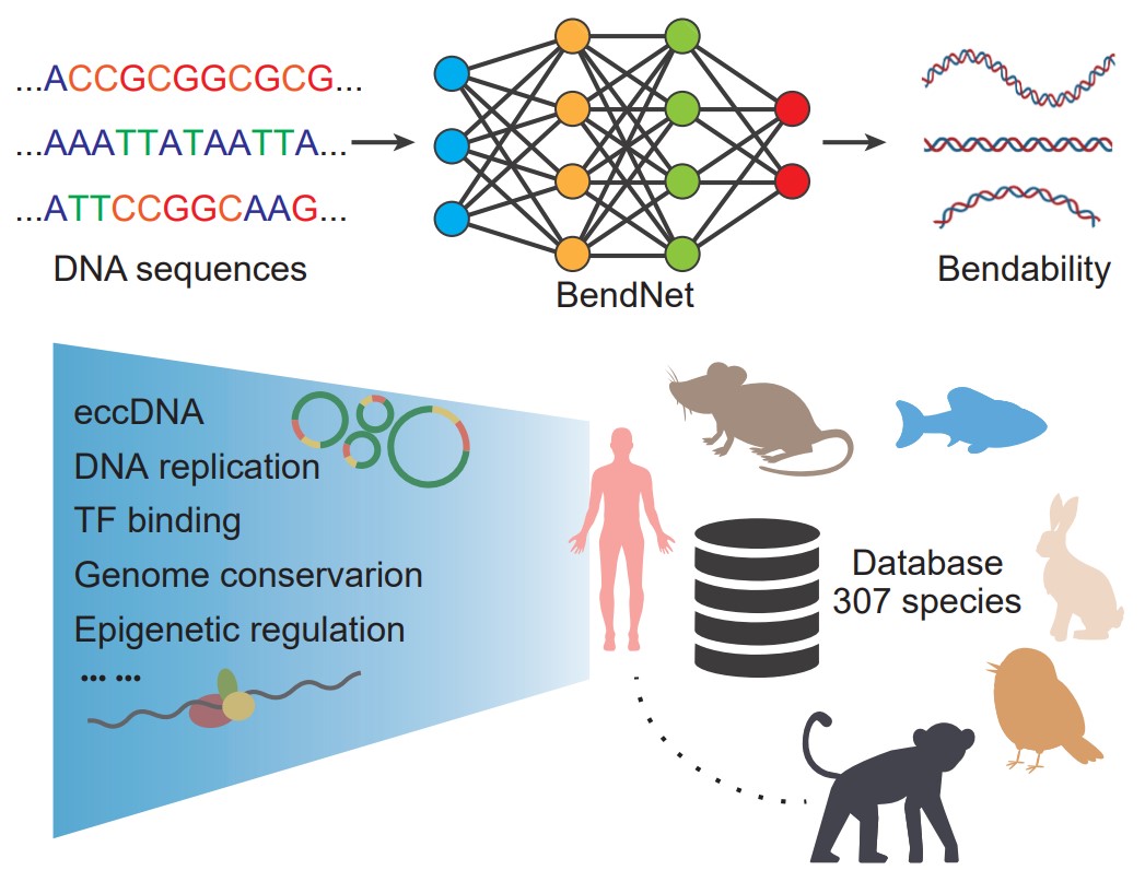 平博·(pinnacle)官方网站