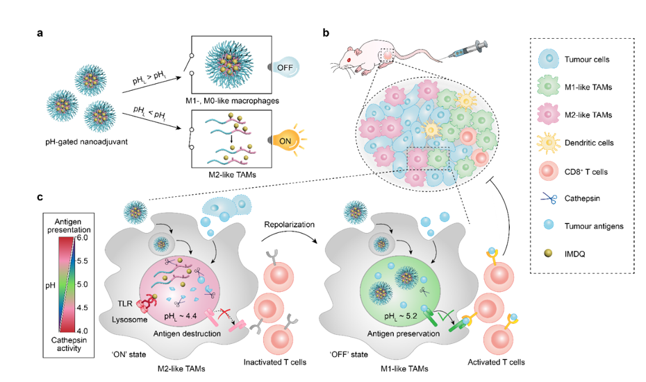 平博·(pinnacle)官方网站