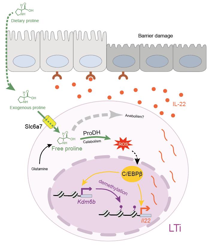平博·(pinnacle)官方网站