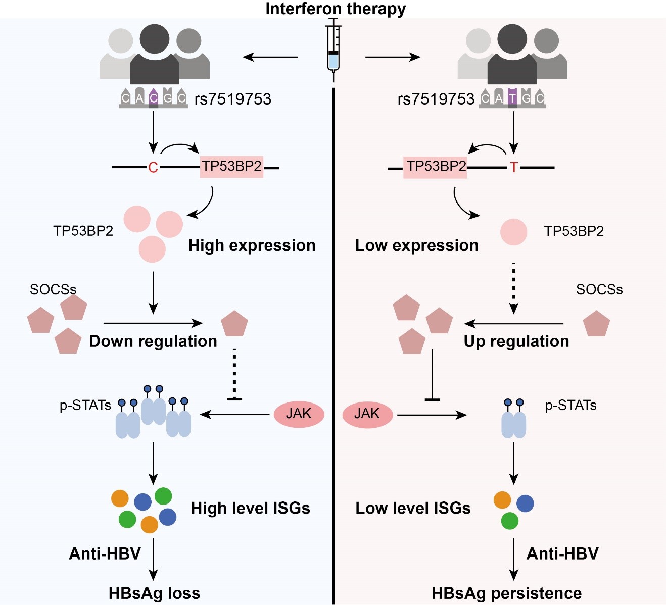 平博·(pinnacle)官方网站