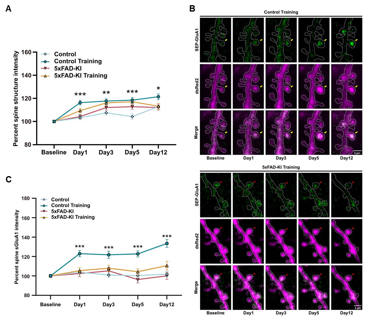 平博·(pinnacle)官方网站