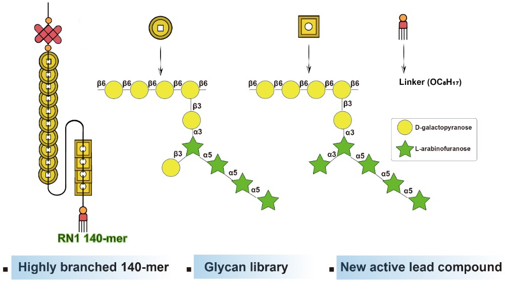 平博·(pinnacle)官方网站