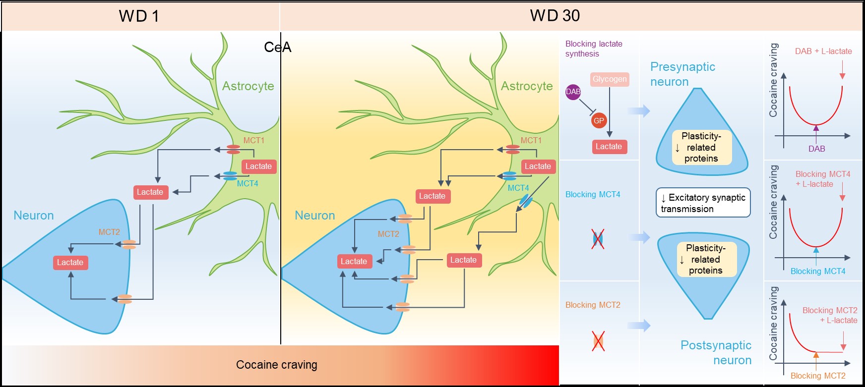 平博·(pinnacle)官方网站