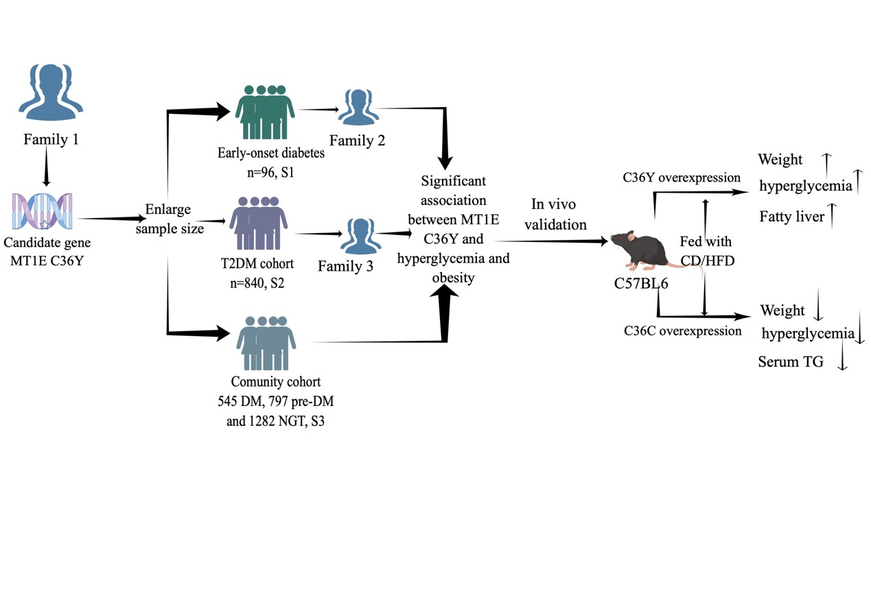 平博·(pinnacle)官方网站