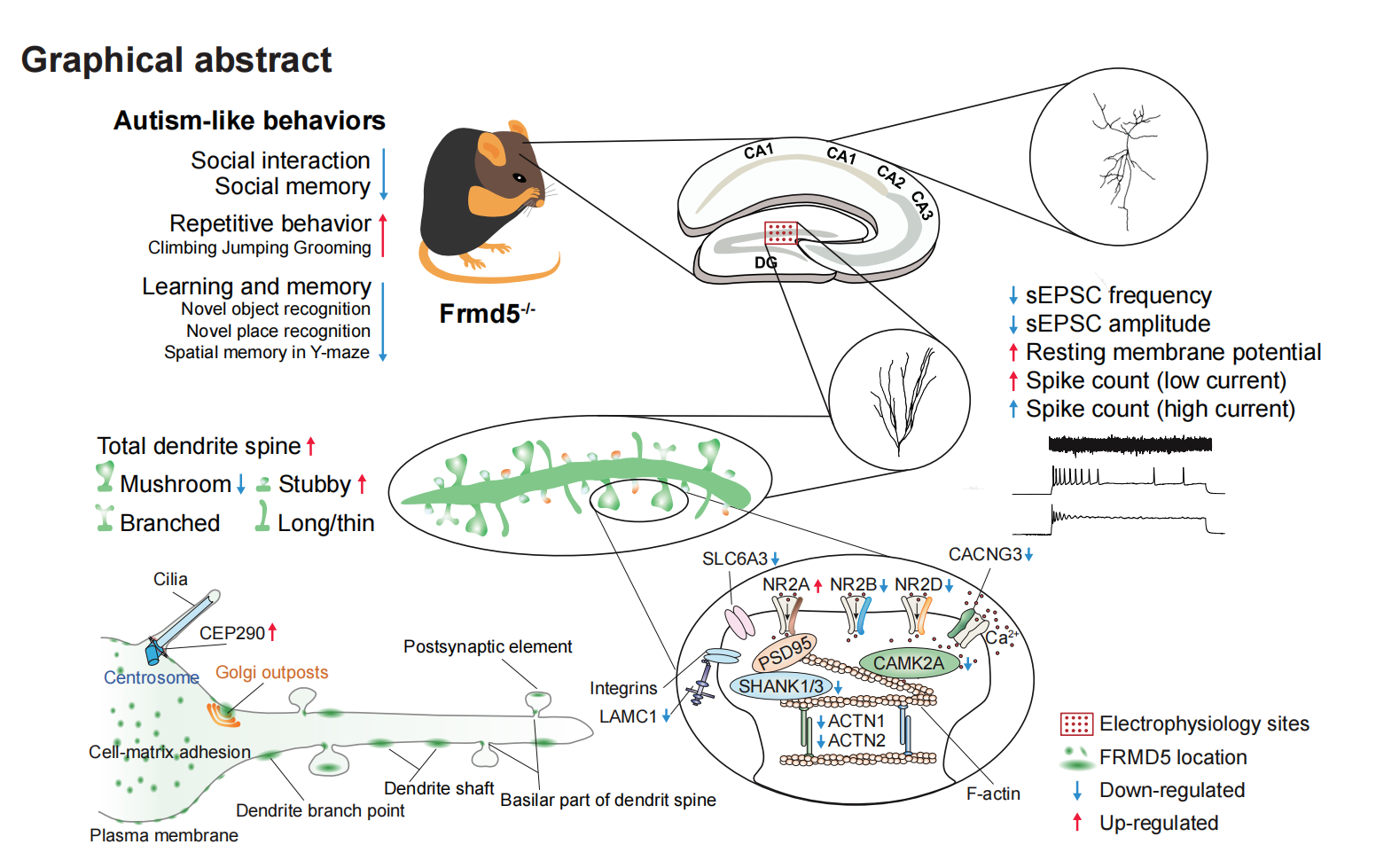 平博·(pinnacle)官方网站