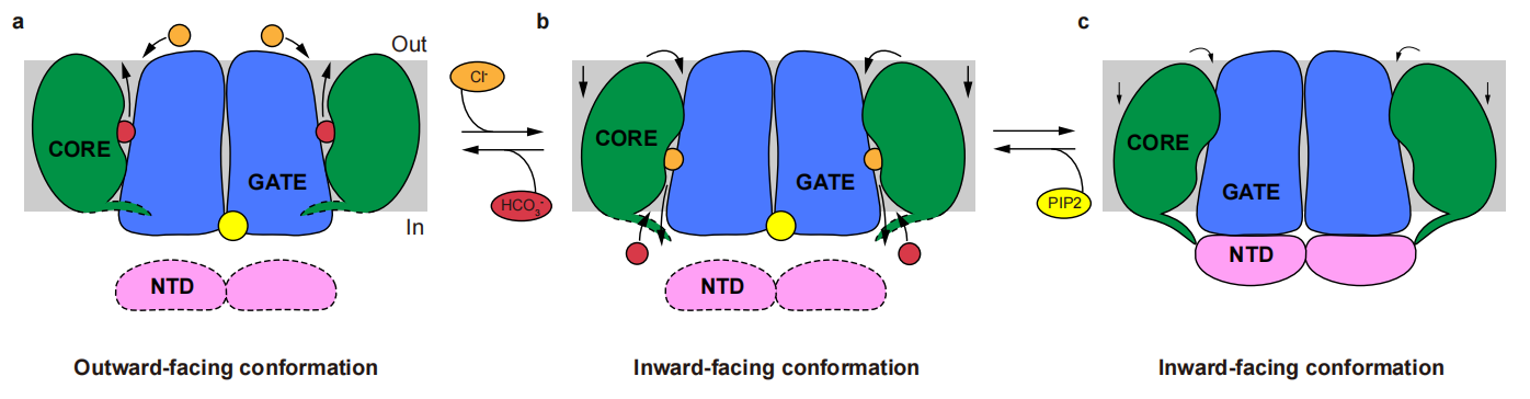 平博·(pinnacle)官方网站