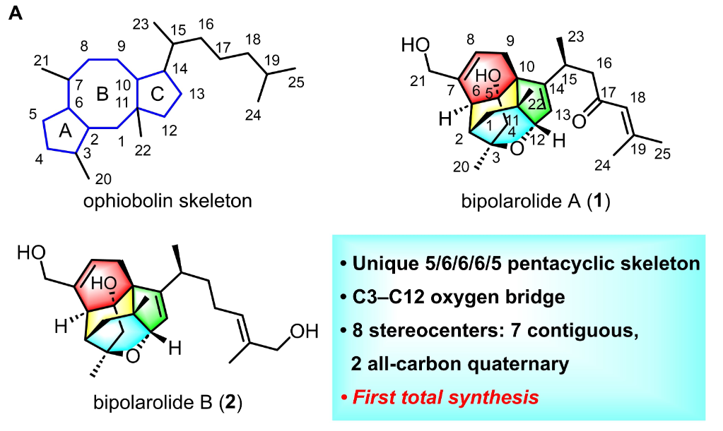 平博·(pinnacle)官方网站