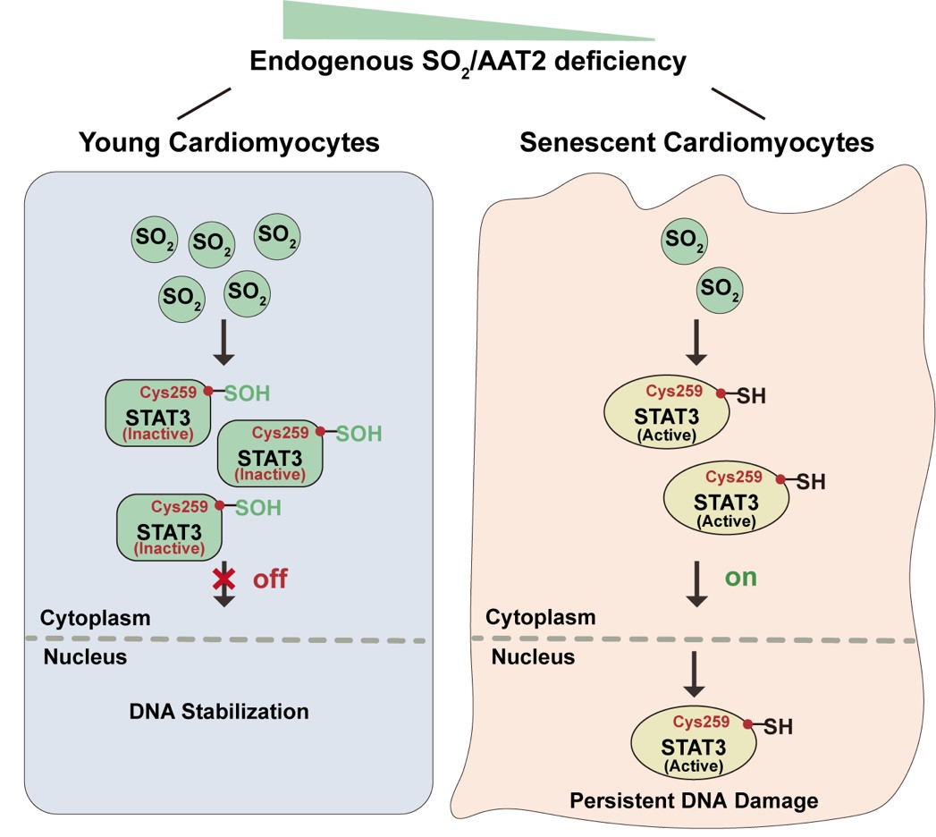 平博·(pinnacle)官方网站