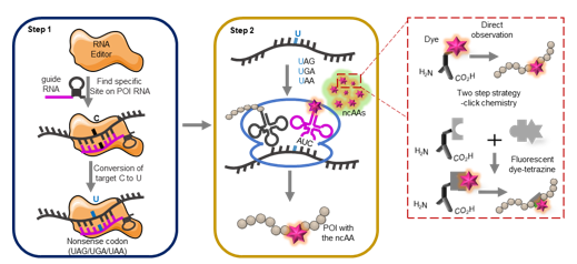 平博·(pinnacle)官方网站