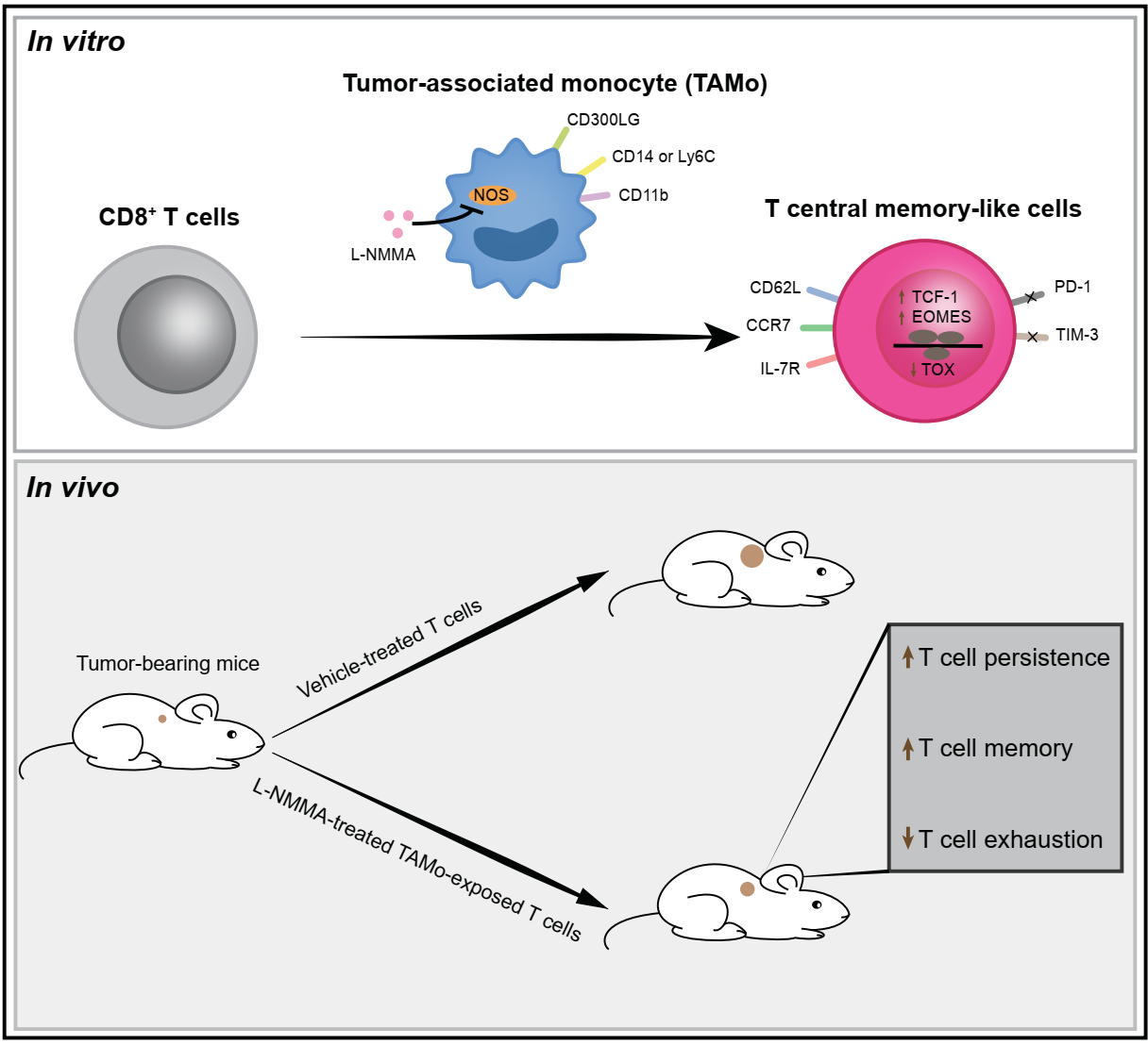 平博·(pinnacle)官方网站