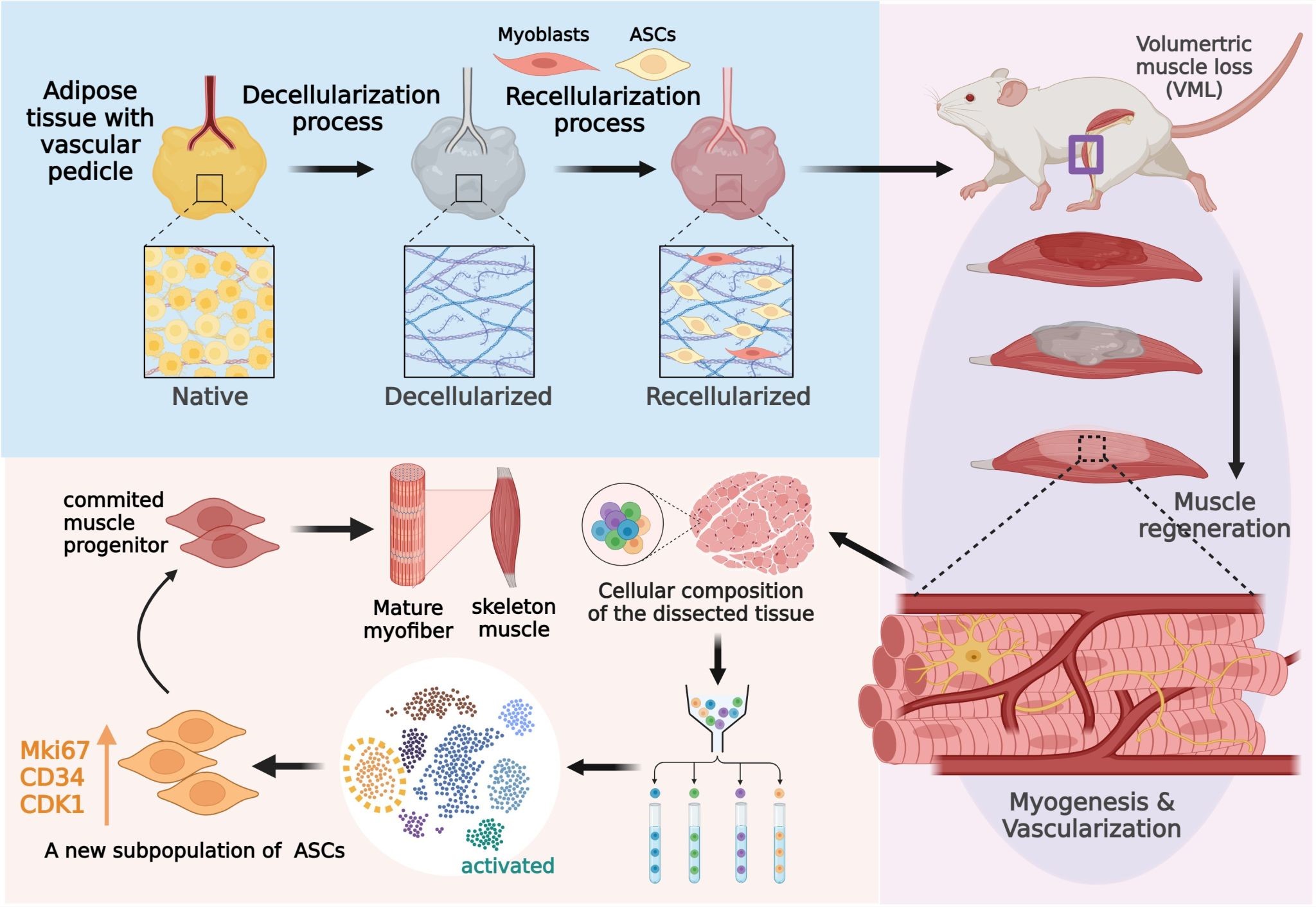 平博·(pinnacle)官方网站