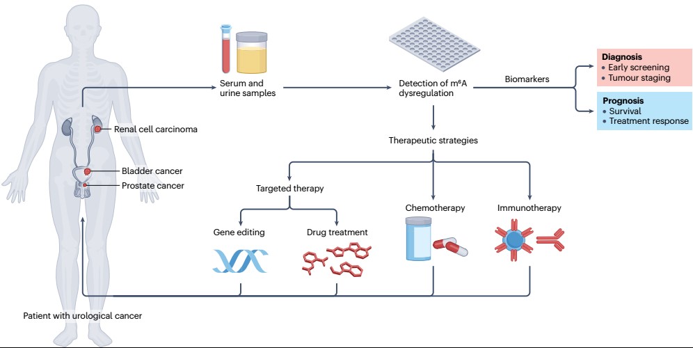 平博·(pinnacle)官方网站